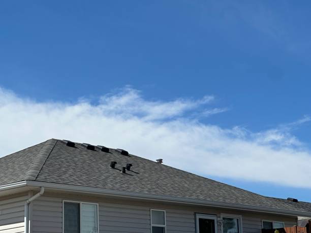 Professional Roof Repair & Installaion in Winchester, MO